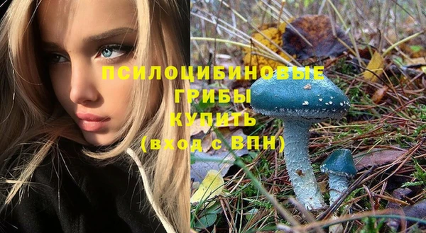 соль курить ск Ветлуга