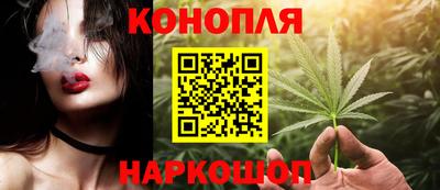 крисы Гай
