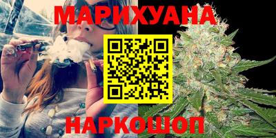 крисы Гай