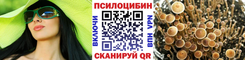 Псилоцибиновые грибы Cubensis  Кудымкар 