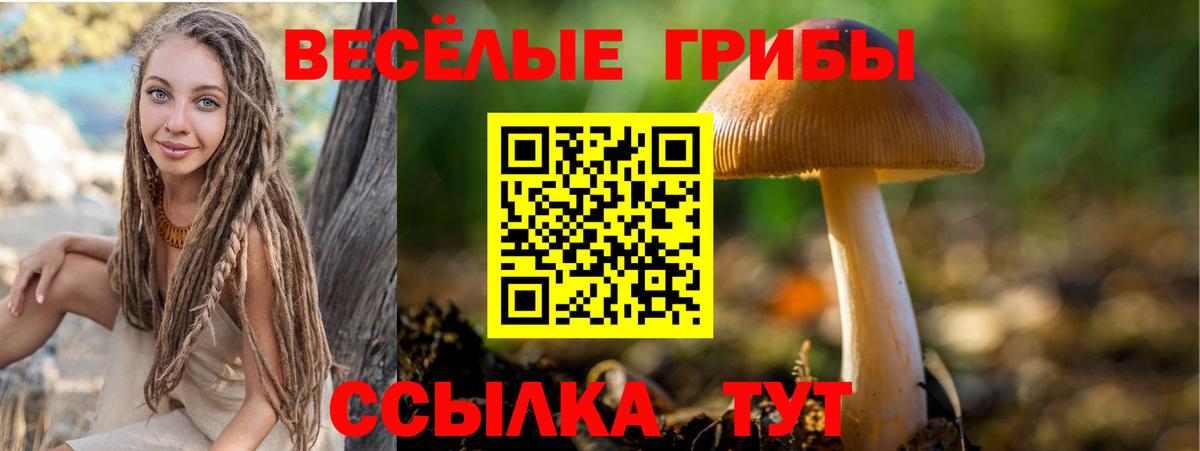 Псилоцибиновые грибы мицелий Кудымкар
